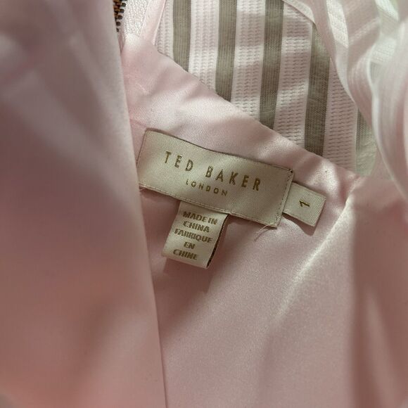 Ted Baker Eleese Mesh Detail Skater Light Pink Dress Women's Size 1 US 4 - Picture 3 of 8